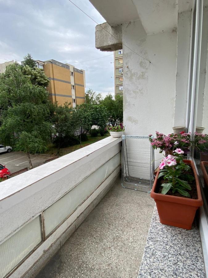 Hakuna Matata Skopje Exteriör bild